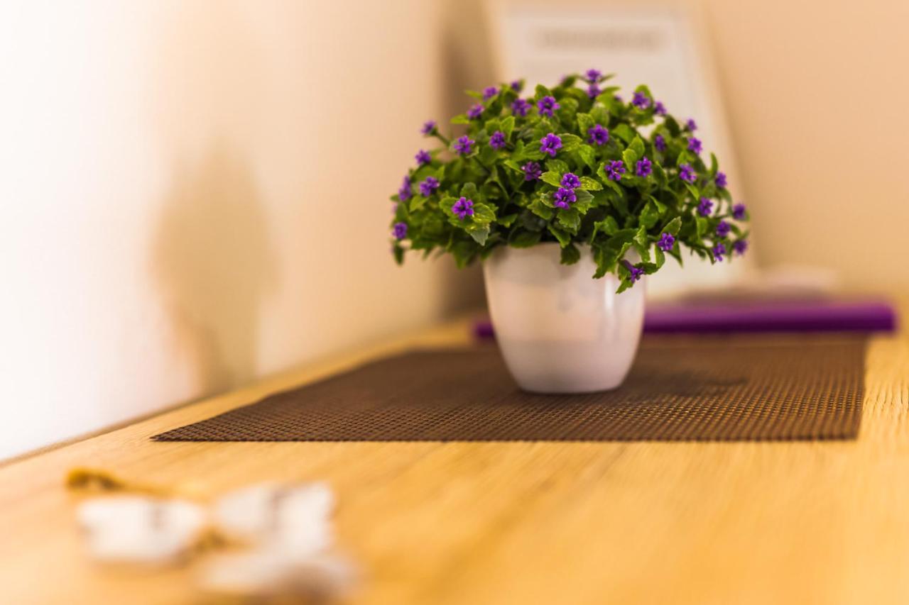 Apartmani Leptir 拉科维察 外观 照片