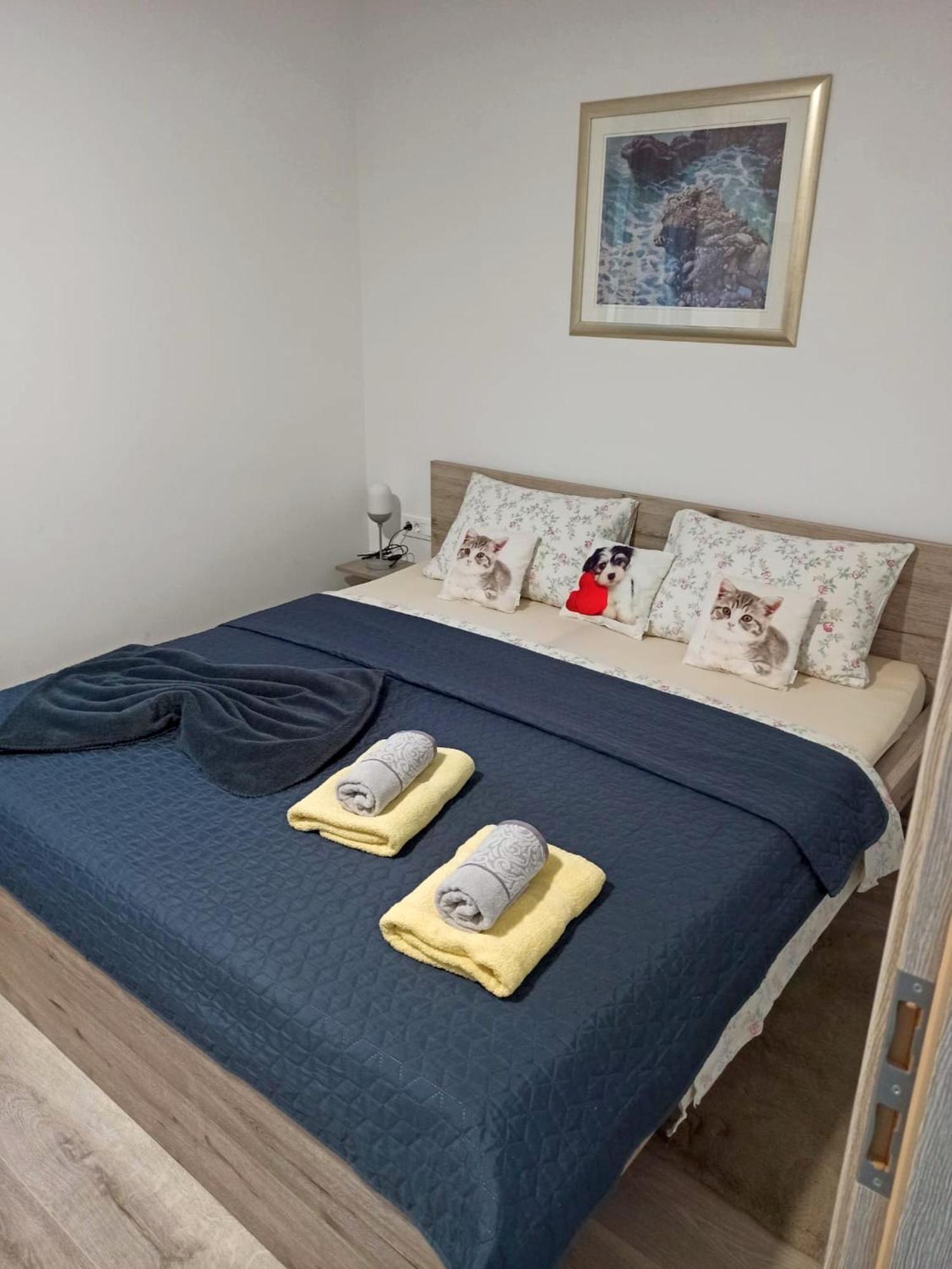 Apartmani Leptir 拉科维察 外观 照片